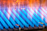 Kingston Lisle gas fired boilers